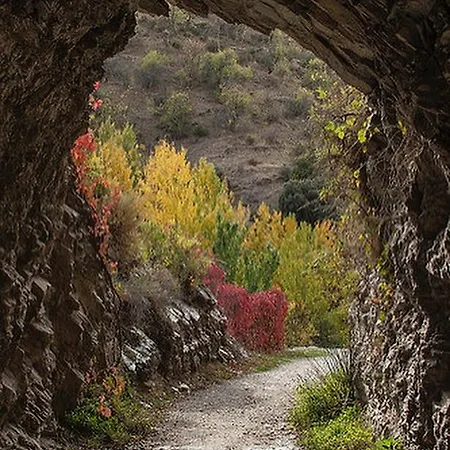 Kemp Alixar De Guejar Sierra