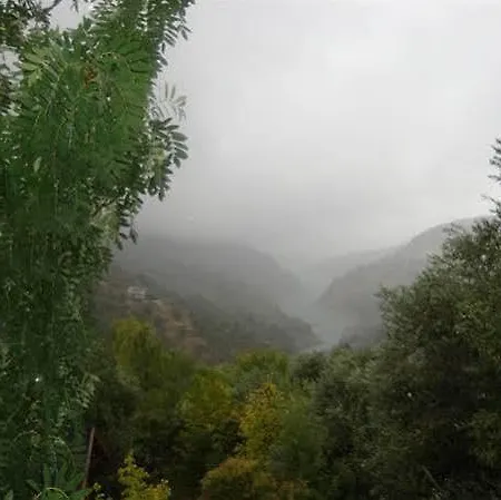 Kemp Alixar De Guejar Sierra